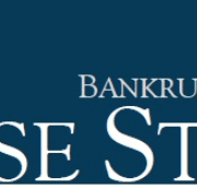 Debtor Bankruptcy Court Case Analysis